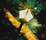Light Pollution